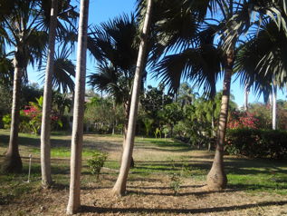 Finca 20 Ha 1 Km oeste de Aeropuerto Daniel Oduber en Liberia, Guanacaste — $5,000,000 - Foto 5 de 7