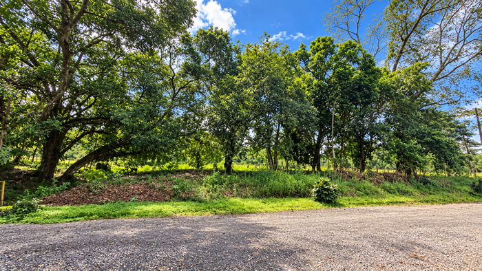 Lot For Sale In Guápiles, Pococí, Limón in Guápiles, Pococí, Limón — ₡ 28 000 000