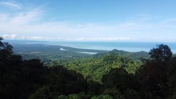 Terreno ,plano listo para construir . en Puerto Cortés, Osa, Puntarenas — $500,000 - Foto 4 de 9