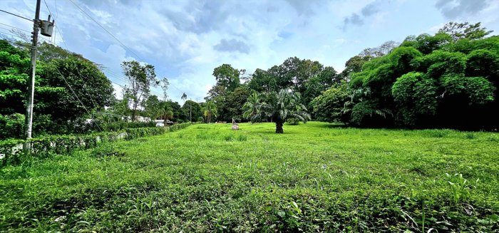 Venta de Lote en Limón, Siquirres. en Siquirres, Limón — ₡ 60 000 000