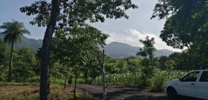 LOTE DE 621M EN ESCOBAL en Escobal, Atenas, Alajuela — ₡ 25 000 000