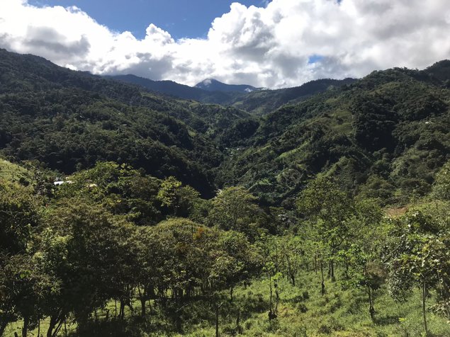 Private mountain with facilities for development in Chimirol Rivas en Alajuela — $120,000 - Foto 2 de 16
