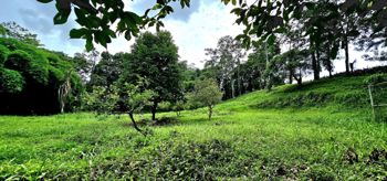 Venta de Lote en Limón, Siquirres. en Siquirres, Limón — 60 000 000 ₡ - Foto 5 de 13