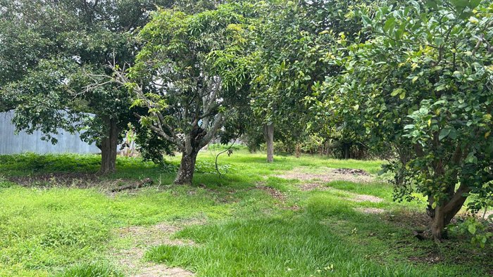 VENTA TERRENO DE DESARROLLO, SAN JOSE, MORAVIA, SAN VICENTE in San Vicente, Moravia, San José — $975,240