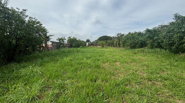 Lote de 3906m2 en area exclusiva de Atenas muy aprovechable en Atenas, Alajuela — $169,000 - Foto 3 de 14