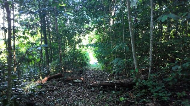 LOTE EN PEÑAS BLANCAS, PÉREZ ZELEDÓNNATURALEZA Y PRIVACIDAD en San Isidro De El General, Pérez Zeledón, San José — $115,000