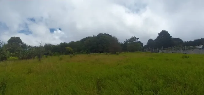 Lindo terreno San Isidro de Heredia con 2 pajas de agua 2,316 mts2 in San Isidro, Heredia — $440,000
