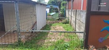 SE VENDE LOTE CON CASA EN SAN ISIDRO DE PEÑAS BLANCAS en Peñas Blancas, San Ramón, Alajuela — 18 000 000 ₡ - Foto 4 de 5