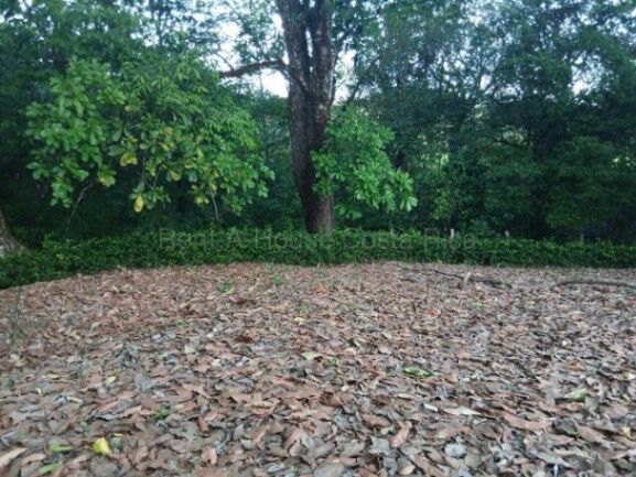 Lote de 1.827 m² en Curime de Nicoya | Naturaleza, agua y uso residencial #26-1619 in Nicoya, Guanacaste — $129,000