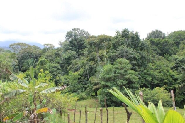 SE VENDE PRECIOSA FINCA EN PURISCAL, SAN JOSÉ.  in Chires, Puriscal, San José — $630,000