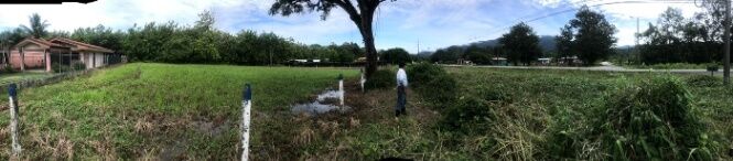 Lote uso de suelo mixto residencial o comercial en Palmar, Osa, Puntarenas — ₡ 15 361 800