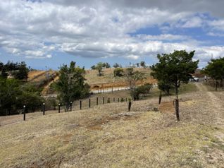 Lote en venta en San Ramon con 1000m2 de lote