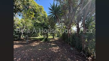 Venta de terreno de 4.243 m² con terrazas planas en Los Ángeles de San Rafael #26-1476 GS en Ángeles, San Rafael, Heredia — $300,000 - Foto 5 de 11