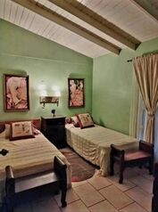 SE VENDE BELLÍSIMA FINCA EN LA TIGRA DE SAN CARLOS.  en La Tigra, San Carlos, Alajuela — $320,000 - Foto 5 de 28