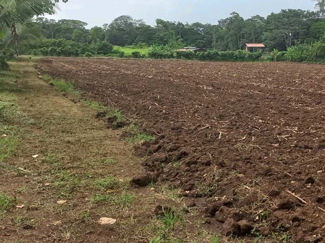 Excelente Terreno en La Fortuna en La Fortuna, San Carlos, Alajuela — ₡ 80 000 000 - Foto 2 de 8