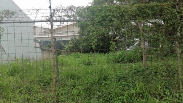 2 lotes comerciales listos para construir en Rohmoser  in Pavas, San José — ₡ 2