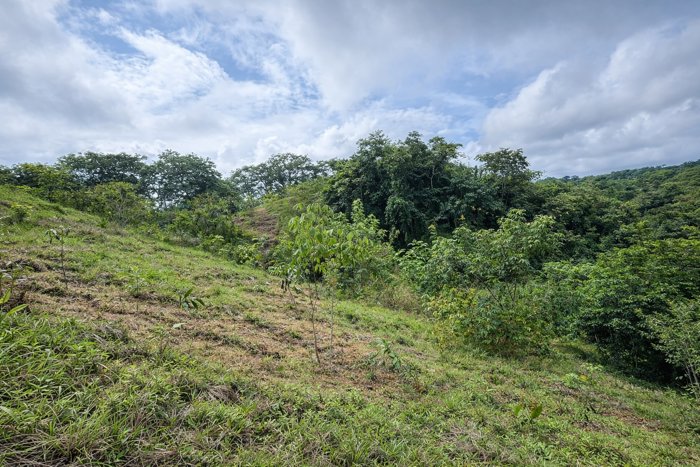Lote Residencial de 5,000 m² en San Isidro in San Isidro, Montes De Oro, Puntarenas — $165,000 - Photo 2 of 4