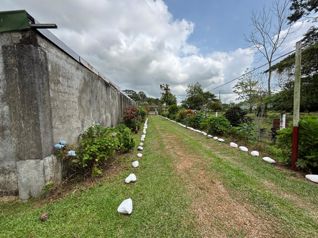 Venta de Finca en Guápiles in Guápiles, Pococí, Limón — 150 000 000 ₡ - Photo 4 of 37