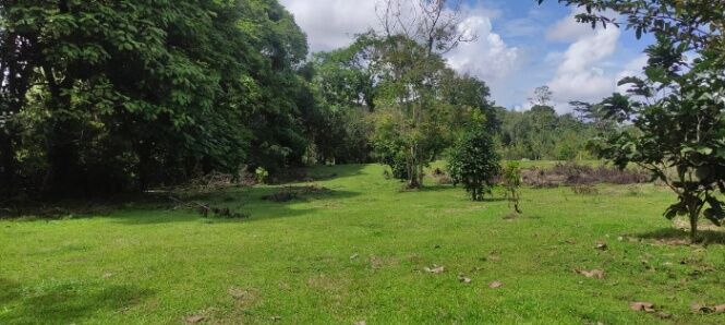 Se vende o se cambia  in La Tigra, San Carlos, Alajuela — ₡ 49 000 000