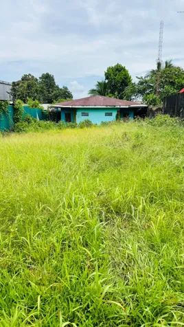 🏢 TERRENO EN VENTA EN GUÁPILES CENTRO | IDEAL PARA COMERCIO en Guápiles, Pococí, Limón — ₡ 130 000 000 - Foto 2 de 3