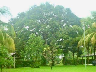 Venta lote en Esparza, Puntarenas - Uso mixto in San Rafael, Esparza, Puntarenas — 80 000 000 ₡ - Photo 5 of 19