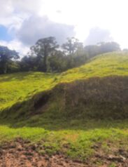 Se venden 4 hectareas con vista Al Volcán en La Fortuna. en La Fortuna, San Carlos, Alajuela — 190 000 000 ₡ - Foto 5 de 8