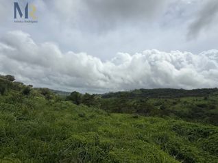 Finca de 85.9 Hectáreas con Río  Oportunidad de Inversión Agropecuaria en La Garita, La Cruz, Guanacaste — 429 650 000 ₡ - Foto 2 de 17