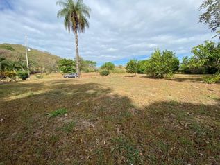 Venta de Lote en Turrubares-San Pablo. RAH 25-1783 in San Pablo, Turrubares, San José — 25 000 000 ₡ - Photo 5 of 13