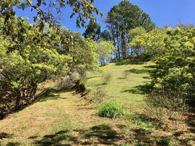 17,469m2 with private well adjoining the Picaflora residential development in Atenas, Alajuela — $576,500