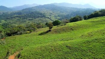 Finca en Venta Cajón, Pérez Zeledón, San José