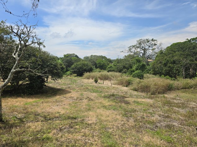 Lote en venta en Santo Domingo. Uso mixto - desarrollar. 5PVV9634224 en San Miguel, Santo Domingo, Heredia — $3,877,358