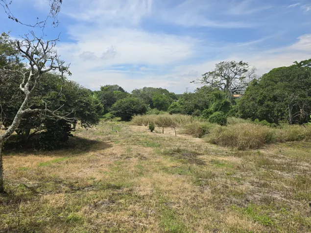 Lot for sale in Santo Domingo. Mixed use - to develop. 5PVV9634224 in San Miguel, Santo Domingo, Heredia — $3,877,358