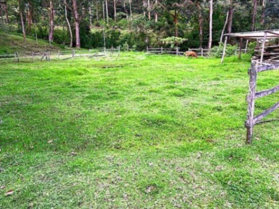 MLS-26-74 VENTA LOTE CON CASA DOTA SAN JOSE in Copey, Dota, San José — ₡ 125 000 000