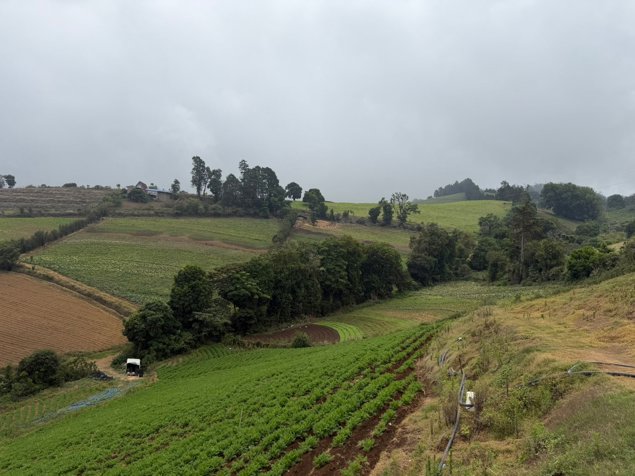 Finca en Venta en Zarcero Alajuela en Zarcero, Alajuela — ₡ 380 000 000 - Foto 3 de 12