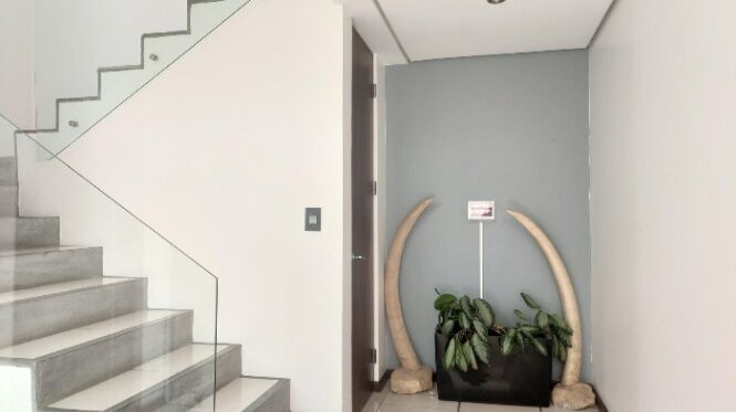 Alquiler de Casa en Santa Ana, San José. RAH 25-662 en Santa Ana, San José — $3,800 - Foto 3 de 20