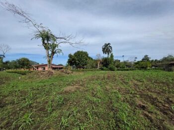 Venta de Lote en Pococí-Roxana, Limón.  en Roxana, Pococí, Limón — $70,635 - Foto 5 de 9
