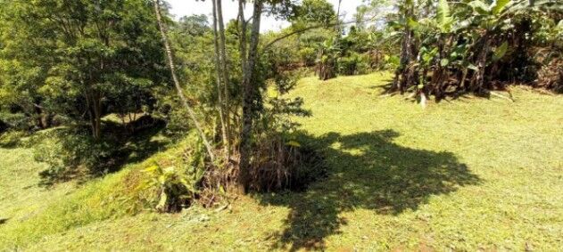 VENDO LOTE EN SANTIAGO DE PURISCAL. en Santiago, Puriscal, San José — ₡ 40 000 000