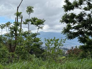 Lote San Ramón de Tres Ríos [Uso de suelo mixto] in Tres Ríos, La Unión, Cartago — $290,000 - Photo 4 of 5