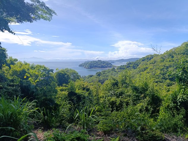 Terreno Bahia Gigante in Paquera, Puntarenas — $200,000 - Photo 2 of 7