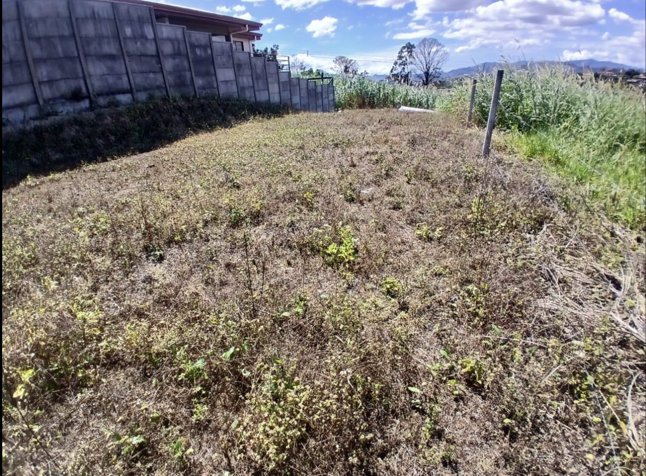 Lot for Sale in Grecia – Strategic Location a in Grecia, Alajuela — ₡ 24 900 000 - Photo 3 of 4