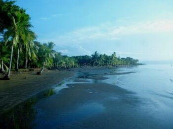 Venta de Cabinas en Golfito-Puerto Jiménez, Puntarenas. RAH 27-34 INVERSIÓN en Puerto Jiménez, Golfito, Puntarenas — 60 000 000 ₡ - Foto 4 de 10