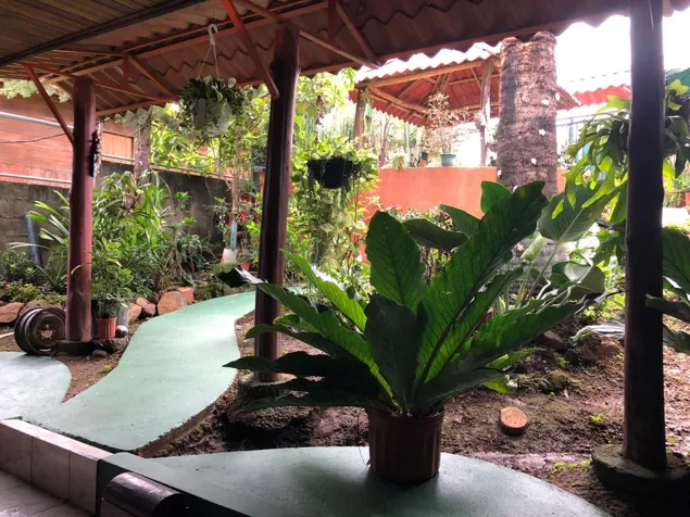 Bonita casa en Morazan de Atenas in Atenas, Alajuela — ₡ 79 000 000 - Photo 2 of 24