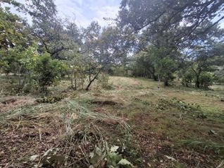 Lote en Venta, Guanacaste, Liberia, Cañas Dulces 5PDN9630579 en Cañas Dulces, Liberia, Guanacaste — $215,000 - Foto 4 de 25