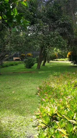 FOR SALE BUILDING LOT IN ESCAZU RESIDENTIAL LAND SARETTO en San Rafael, Escazú, San José — $525,000