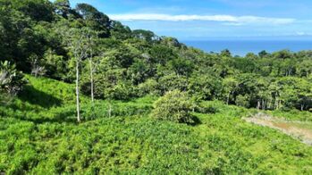 SE VENDE TERRENO EXCLUSIVO PARA PROYECTO BOUTIQUE O RETIRO PRIVADO JUNTO A KURA in Bahía Ballena, Osa, Puntarenas — $510,000 - Photo 4 of 18