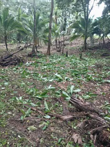 OCEANFRONT LOT AT CARIBBEAN COAST IN LIMON , COSTA RICA ! in Limón — $3,555,902 - Photo 2 of 13