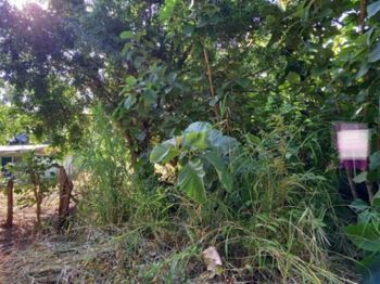Lote en venta  en Sámara, Nicoya, Guanacaste — 10 000 000 ₡ - Foto 5 de 5