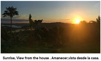 VENDO PROPIEDAD EN SAN CARLOS 45.000m2 en Quesada, San Carlos, Alajuela — 198 000 000 ₡ - Foto 5 de 17