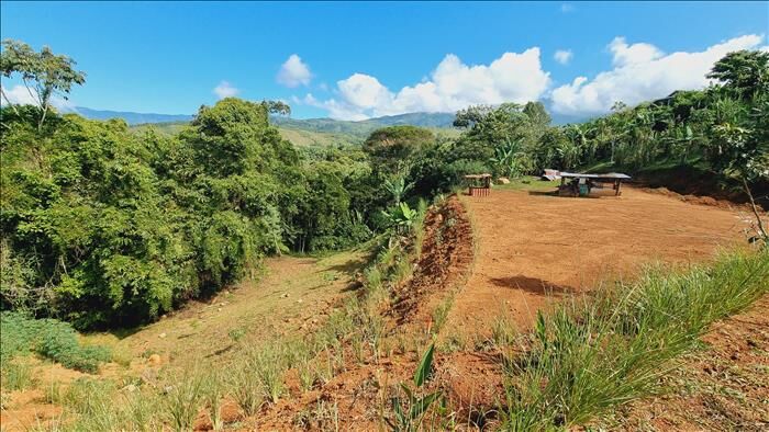 1-HECTARE RIVERFRONT LOT FOR SALE IN SANTA ELENA en Cajón, Pérez Zeledón, San José — $150,000