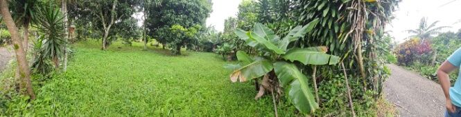 VENTA DE DOS LOTES, SAN JOSE, MORA, PICAGRES  in Picagres, Mora, San José — ₡ 40 000 000